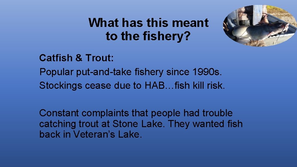 What has this meant to the fishery? Catfish & Trout: Popular put-and-take fishery since