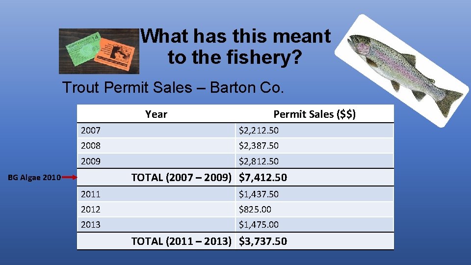 What has this meant to the fishery? Trout Permit Sales – Barton Co. Year