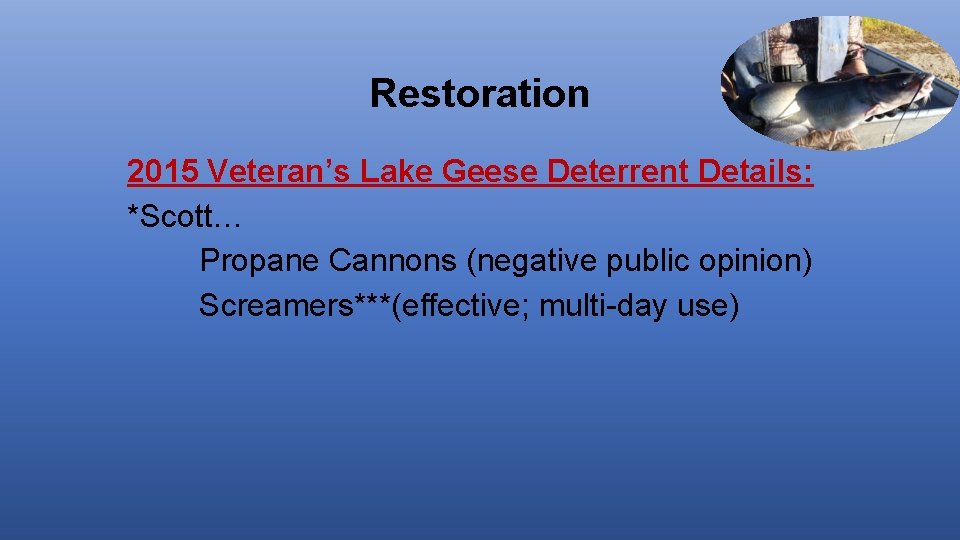 Restoration 2015 Veteran’s Lake Geese Deterrent Details: *Scott… Propane Cannons (negative public opinion) Screamers***(effective;