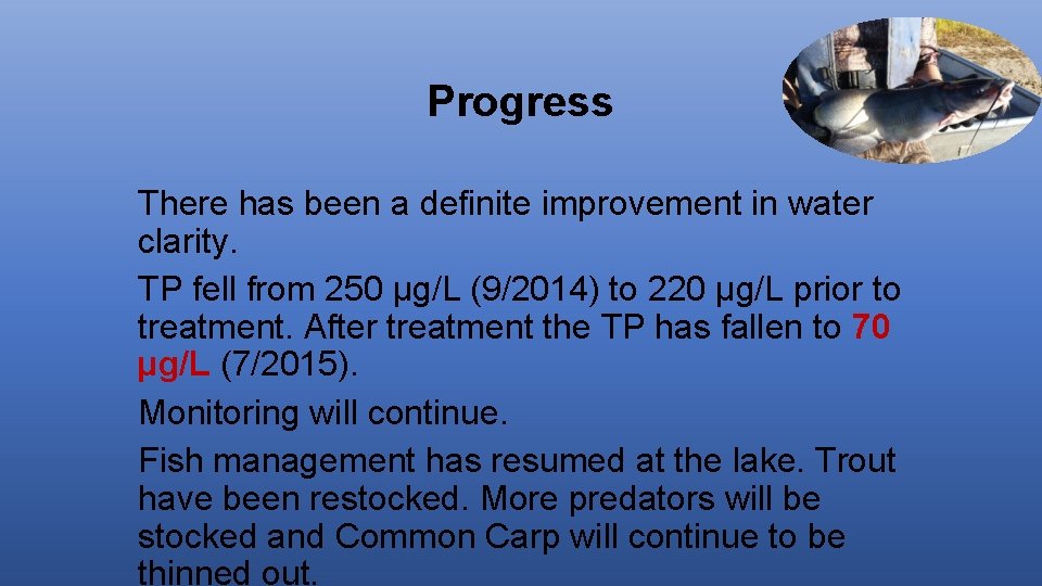 Progress There has been a definite improvement in water clarity. TP fell from 250