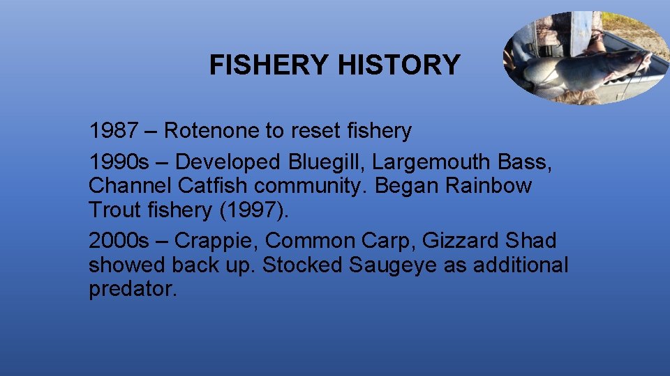 FISHERY HISTORY 1987 – Rotenone to reset fishery 1990 s – Developed Bluegill, Largemouth
