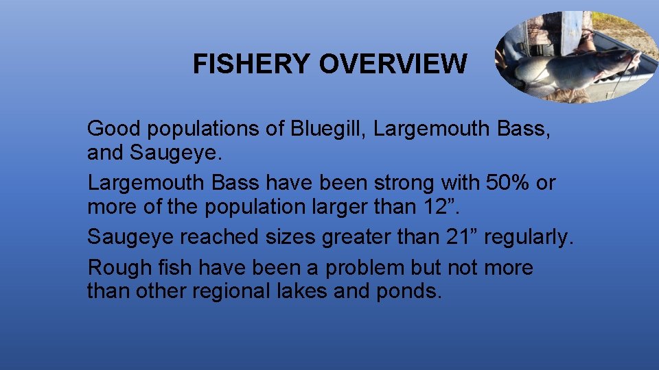 FISHERY OVERVIEW Good populations of Bluegill, Largemouth Bass, and Saugeye. Largemouth Bass have been