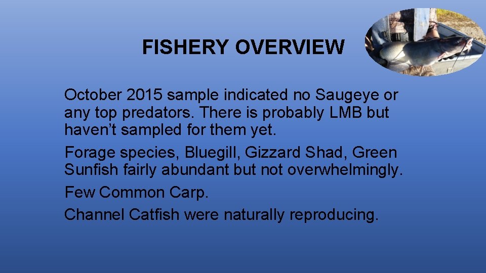 FISHERY OVERVIEW October 2015 sample indicated no Saugeye or any top predators. There is