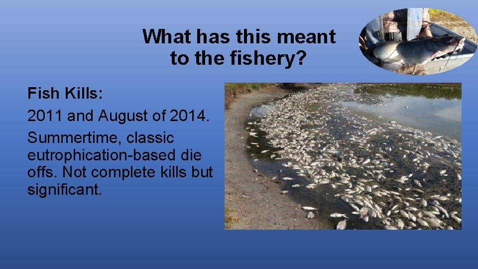 What has this meant to the fishery? Fish Kills: 2011 and August of 2014.
