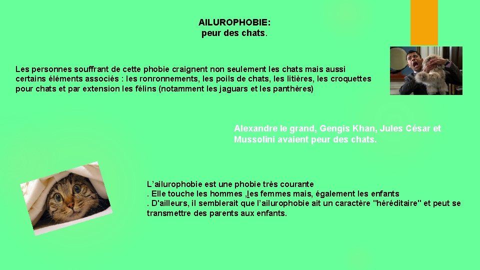 AILUROPHOBIE: peur des chats. Les personnes souffrant de cette phobie craignent non seulement les