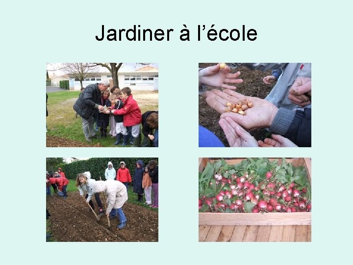 Jardiner à l’école Jardiner à l’école