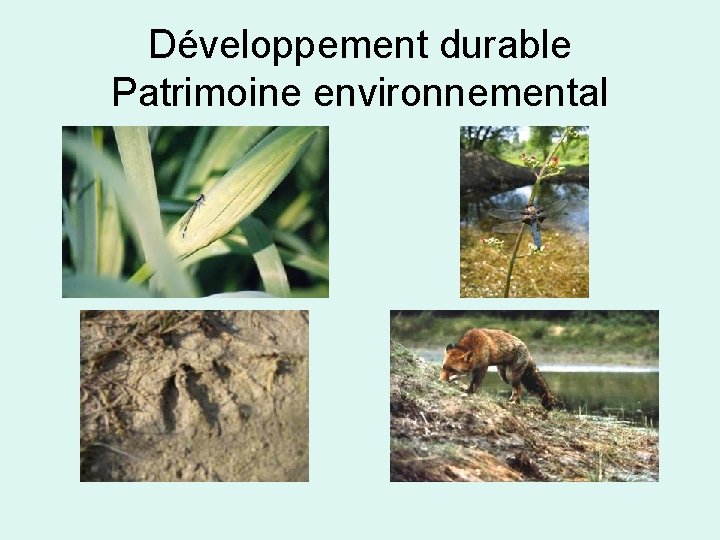 Développement durable Patrimoine environnemental 