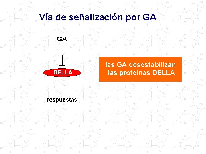 Vía de señalización por GA GA DELLA respuestas las GA desestabilizan las proteínas DELLA