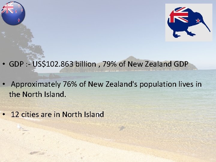  • GDP : - US$102. 863 billion , 79% of New Zealand GDP