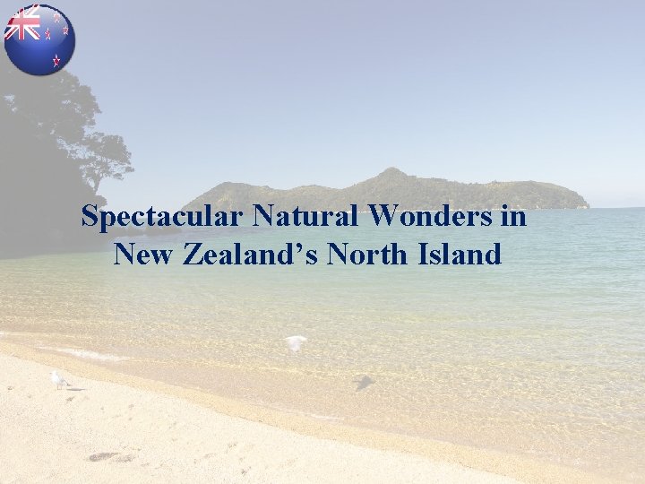 Spectacular Natural Wonders in New Zealand’s North Island 