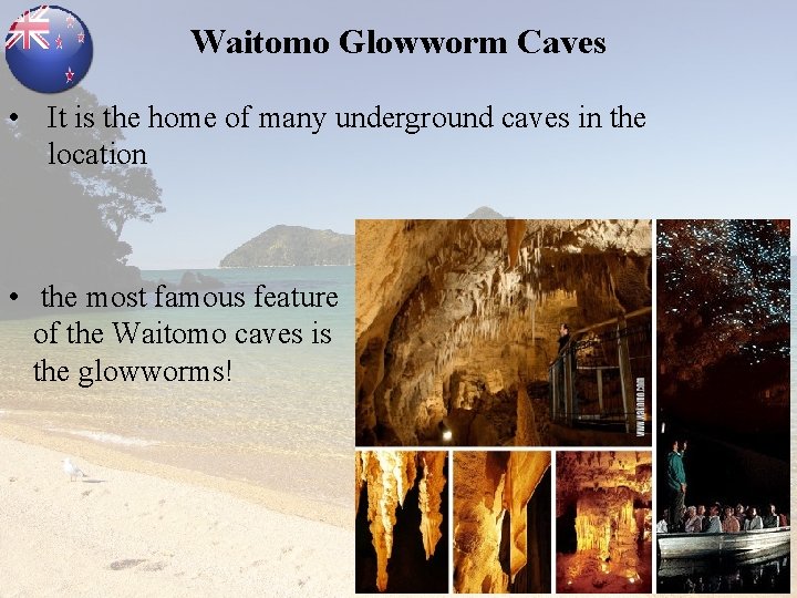 Waitomo Glowworm Caves • It is the home of many underground caves in the
