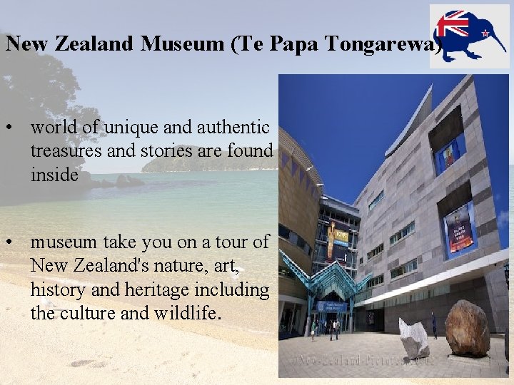 New Zealand Museum (Te Papa Tongarewa) • world of unique and authentic treasures and