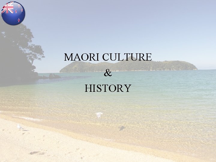 MAORI CULTURE & HISTORY 