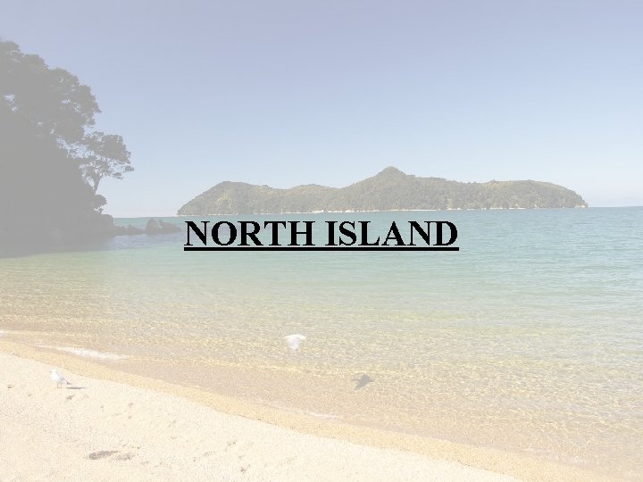 NORTH ISLAND 