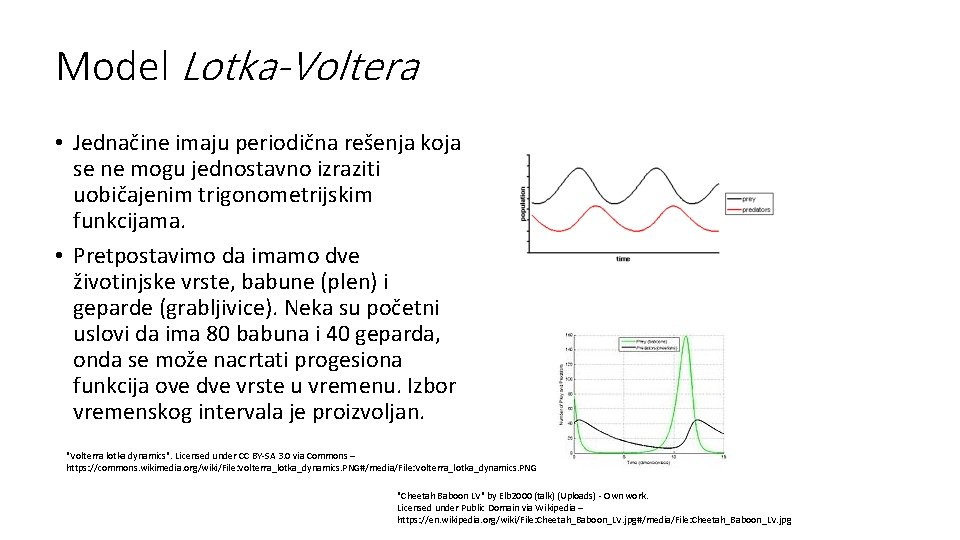 Model Lotka-Voltera • Jednačine imaju periodična rešenja koja se ne mogu jednostavno izraziti uobičajenim