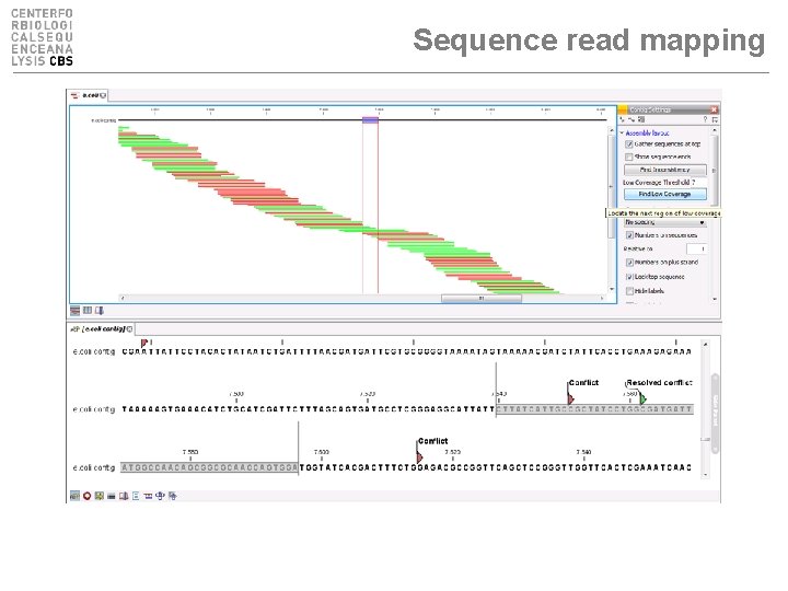 Sequence read mapping 