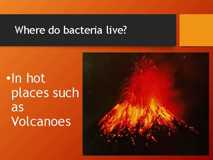 66 Biotechnology Reading Passage 67 Bacteria Warmup