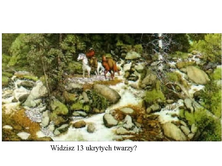 Widzisz 13 ukrytych twarzy? 