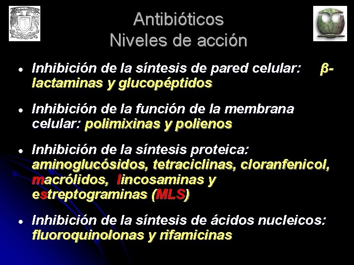 Antibióticos Niveles de acción Inhibición de la síntesis de pared celular: lactaminas y glucopéptidos