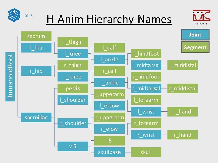 2015 H-Anim Hierarchy-Names sacrum Humanoid. Root l_hip r_hip Joint l_thigh l_knee r_thigh r_knee pelvis