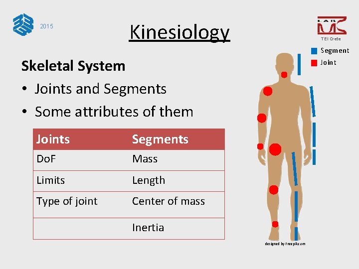 2015 Kinesiology TEI Crete Segment Joint Skeletal System • Joints and Segments • Some