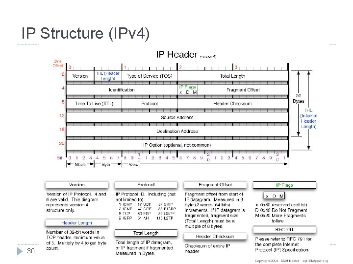 IP Structure (IPv 4) 30 