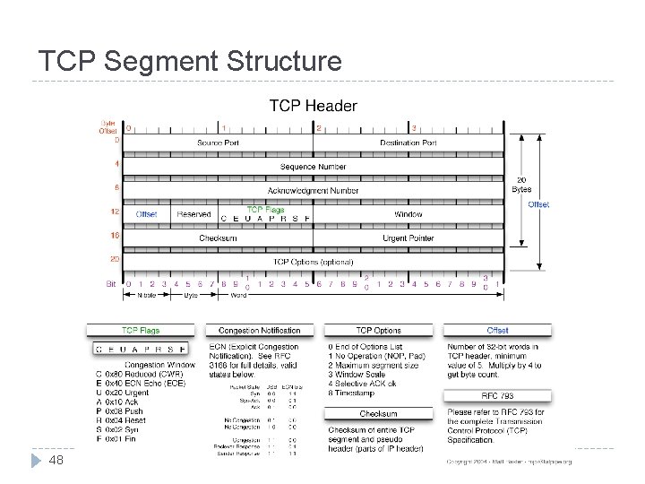 TCP Segment Structure 48 