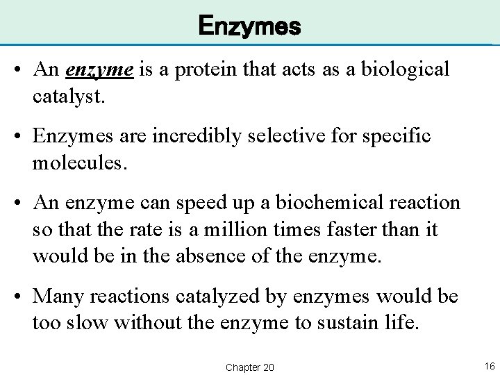 Enzymes • An enzyme is a protein that acts as a biological catalyst. •