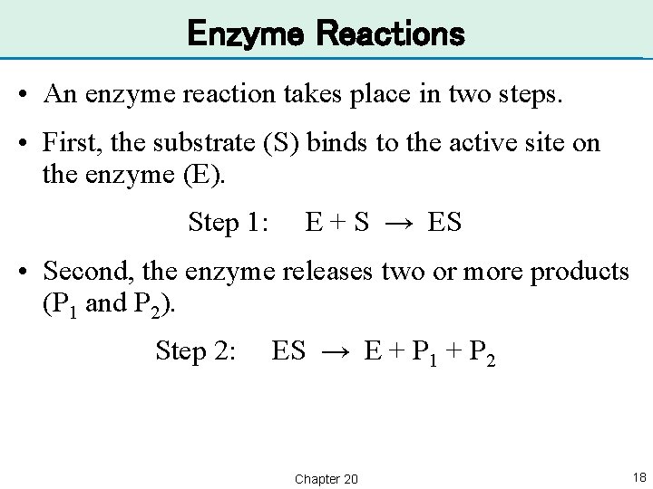 Enzyme Reactions • An enzyme reaction takes place in two steps. • First, the