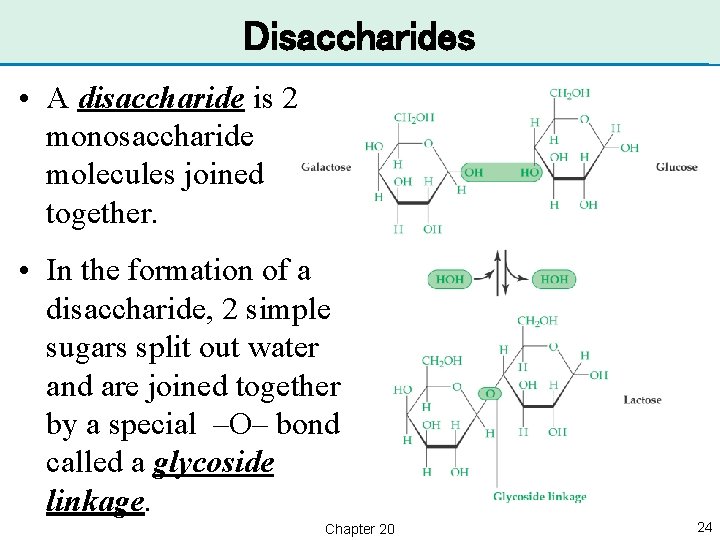 Disaccharides • A disaccharide is 2 monosaccharide molecules joined together. • In the formation