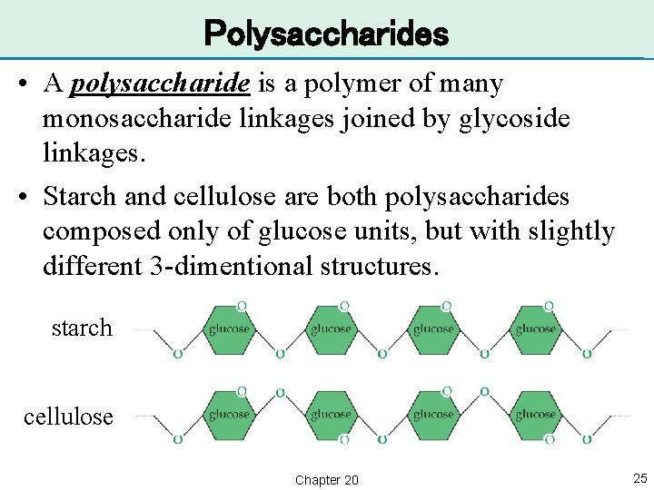 Polysaccharides • A polysaccharide is a polymer of many monosaccharide linkages joined by glycoside