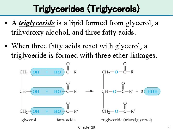 Triglycerides (Triglycerols) • A triglyceride is a lipid formed from glycerol, a trihydroxy alcohol,