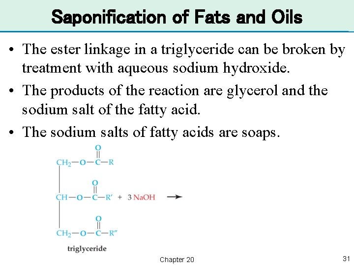 Saponification of Fats and Oils • The ester linkage in a triglyceride can be