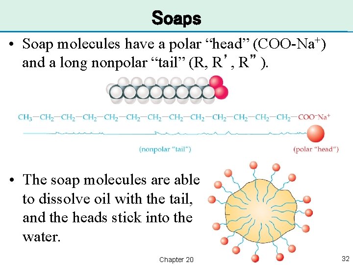 Soaps • Soap molecules have a polar “head” (COO-Na+) and a long nonpolar “tail”