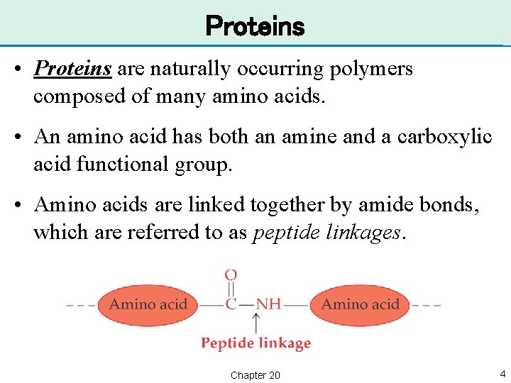 Proteins • Proteins are naturally occurring polymers composed of many amino acids. • An