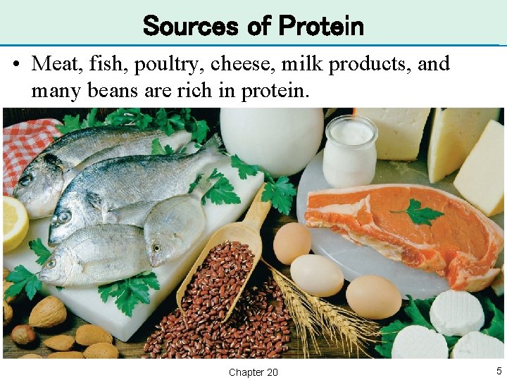 Sources of Protein • Meat, fish, poultry, cheese, milk products, and many beans are