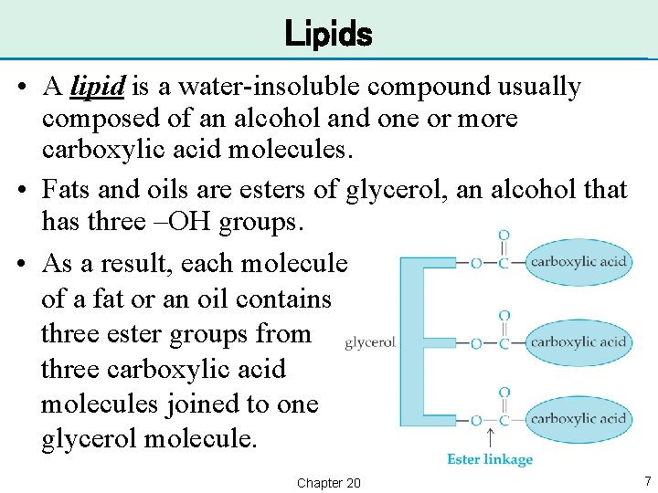 Lipids • A lipid is a water-insoluble compound usually composed of an alcohol and