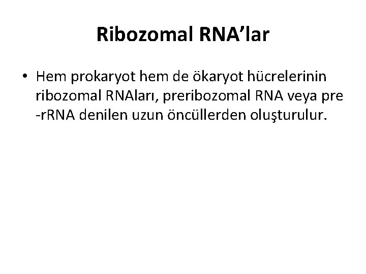 Ribozomal RNA’lar • Hem prokaryot hem de ökaryot hücrelerinin ribozomal RNAları, preribozomal RNA veya