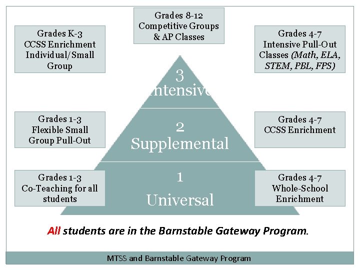 Grades K-3 CCSS Enrichment Individual/Small Group Grades 1 -3 Flexible Small Group Pull-Out Grades