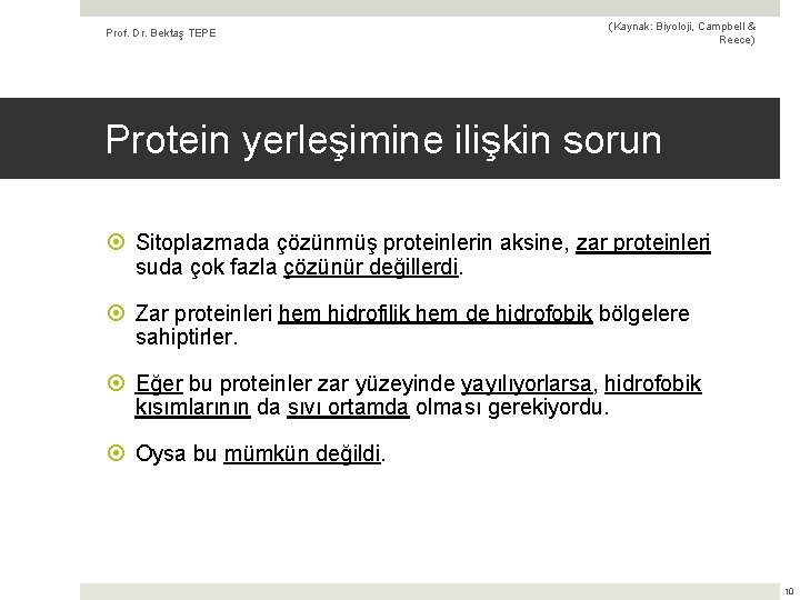 Prof. Dr. Bektaş TEPE (Kaynak: Biyoloji, Campbell & Reece) Protein yerleşimine ilişkin sorun Sitoplazmada