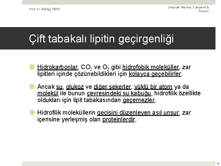 Prof. Dr. Bektaş TEPE (Kaynak: Biyoloji, Campbell & Reece) Çift tabakalı lipitin geçirgenliği Hidrokarbonlar,