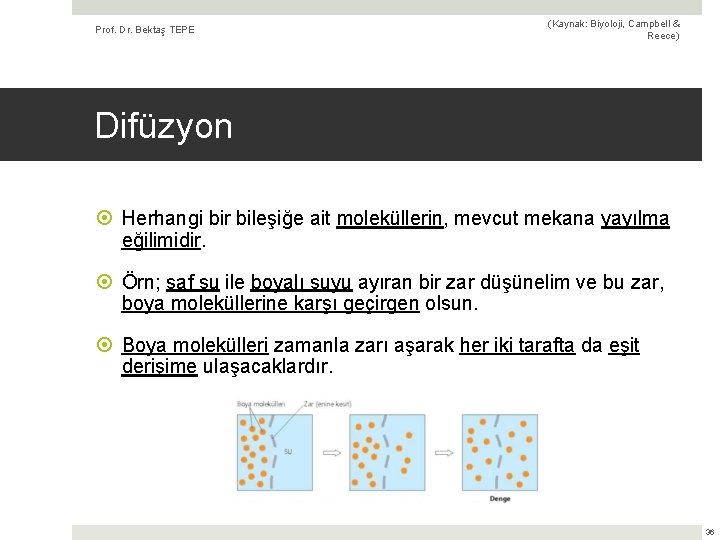 Prof. Dr. Bektaş TEPE (Kaynak: Biyoloji, Campbell & Reece) Difüzyon Herhangi bir bileşiğe ait