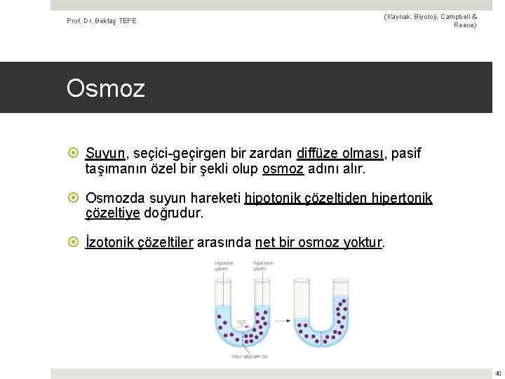 Prof. Dr. Bektaş TEPE (Kaynak: Biyoloji, Campbell & Reece) Osmoz Suyun, seçici-geçirgen bir zardan