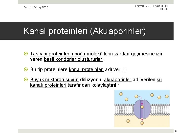 Prof. Dr. Bektaş TEPE (Kaynak: Biyoloji, Campbell & Reece) Kanal proteinleri (Akuaporinler) Taşıyıcı proteinlerin