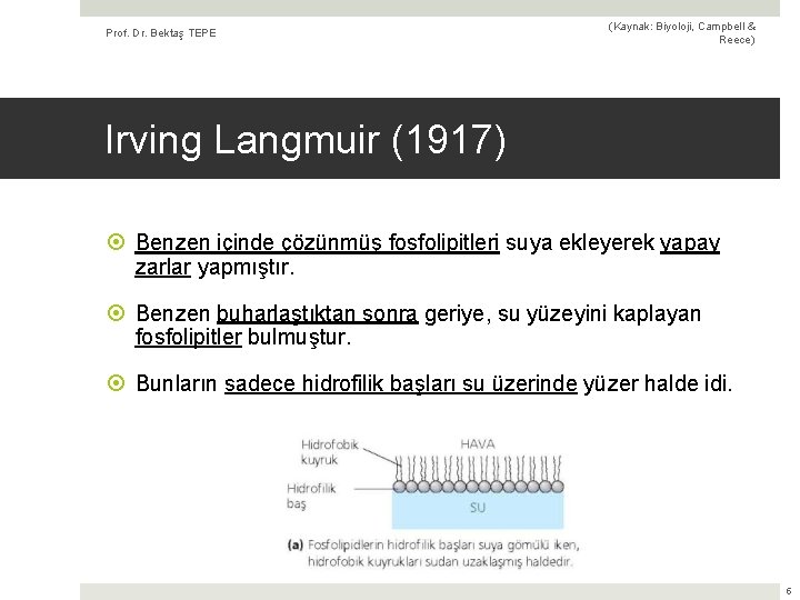 Prof. Dr. Bektaş TEPE (Kaynak: Biyoloji, Campbell & Reece) Irving Langmuir (1917) Benzen içinde