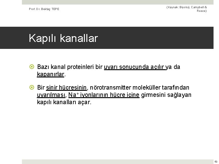 Prof. Dr. Bektaş TEPE (Kaynak: Biyoloji, Campbell & Reece) Kapılı kanallar Bazı kanal proteinleri