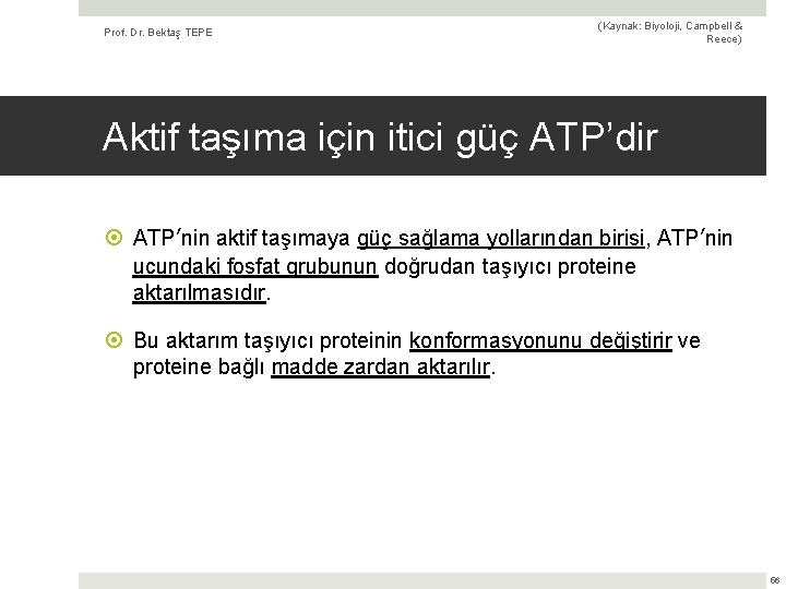 Prof. Dr. Bektaş TEPE (Kaynak: Biyoloji, Campbell & Reece) Aktif taşıma için itici güç