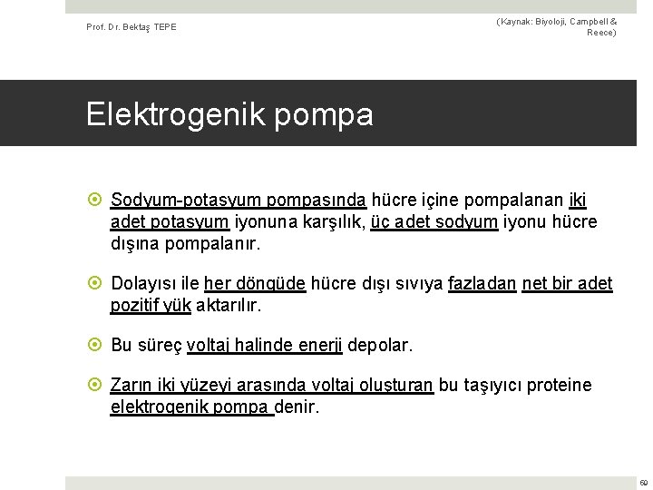 Prof. Dr. Bektaş TEPE (Kaynak: Biyoloji, Campbell & Reece) Elektrogenik pompa Sodyum-potasyum pompasında hücre