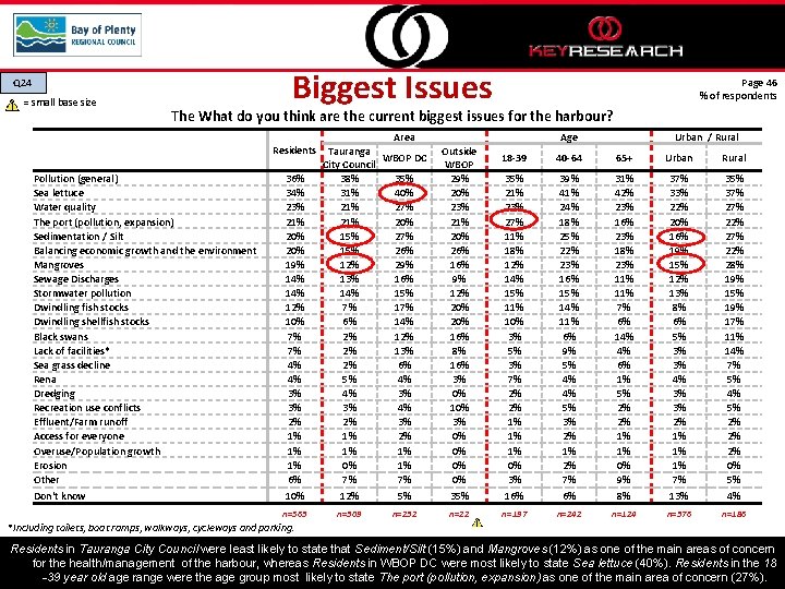 Q 24 = small base size Biggest Issues Page 46 % of respondents The