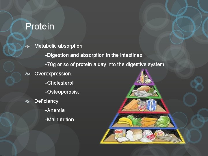 Protein Metabolic absorption -Digestion and absorption in the intestines -70 g or so of